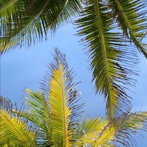 Meet your Posher, Alexa